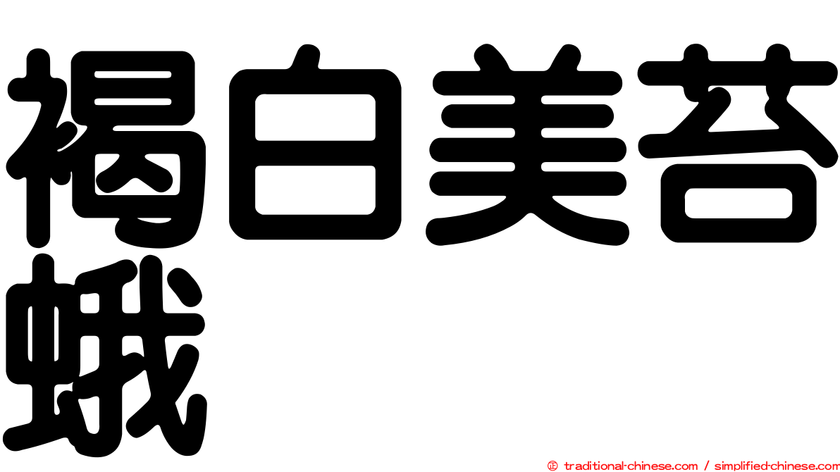 褐白美苔蛾