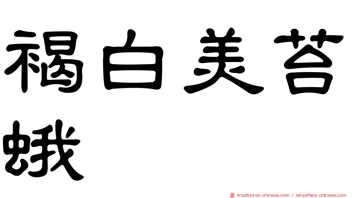 褐白美苔蛾