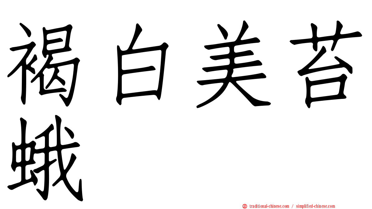 褐白美苔蛾