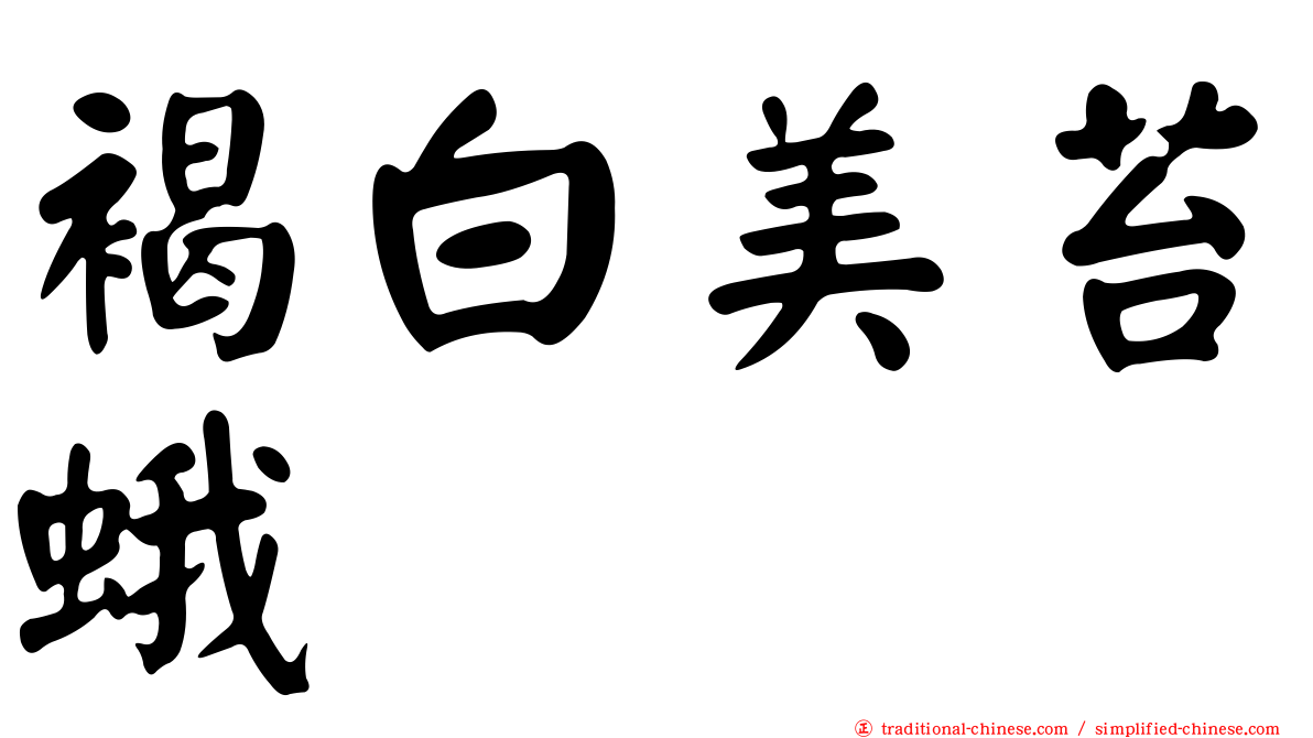 褐白美苔蛾