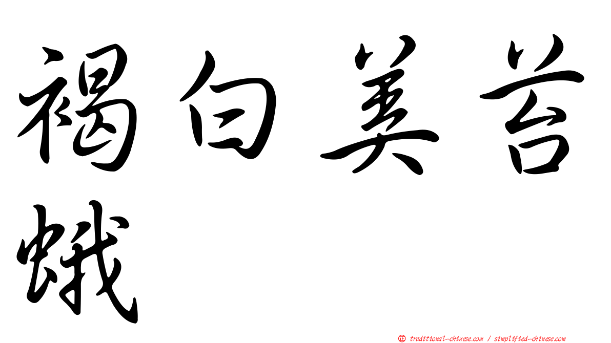 褐白美苔蛾