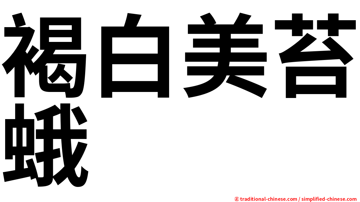 褐白美苔蛾