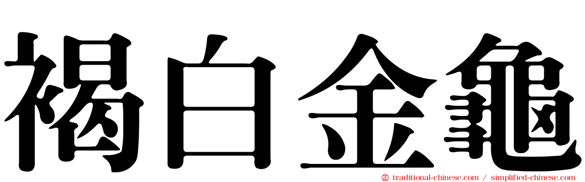 褐白金龜