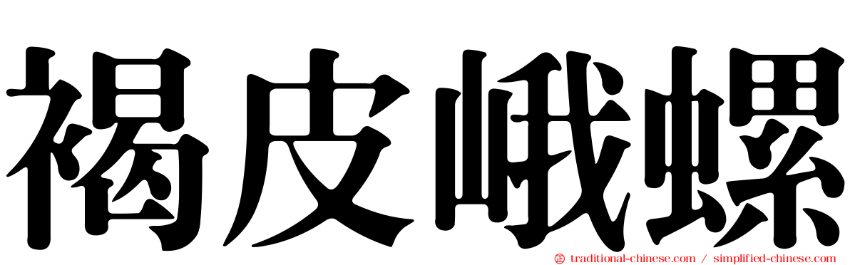 褐皮峨螺