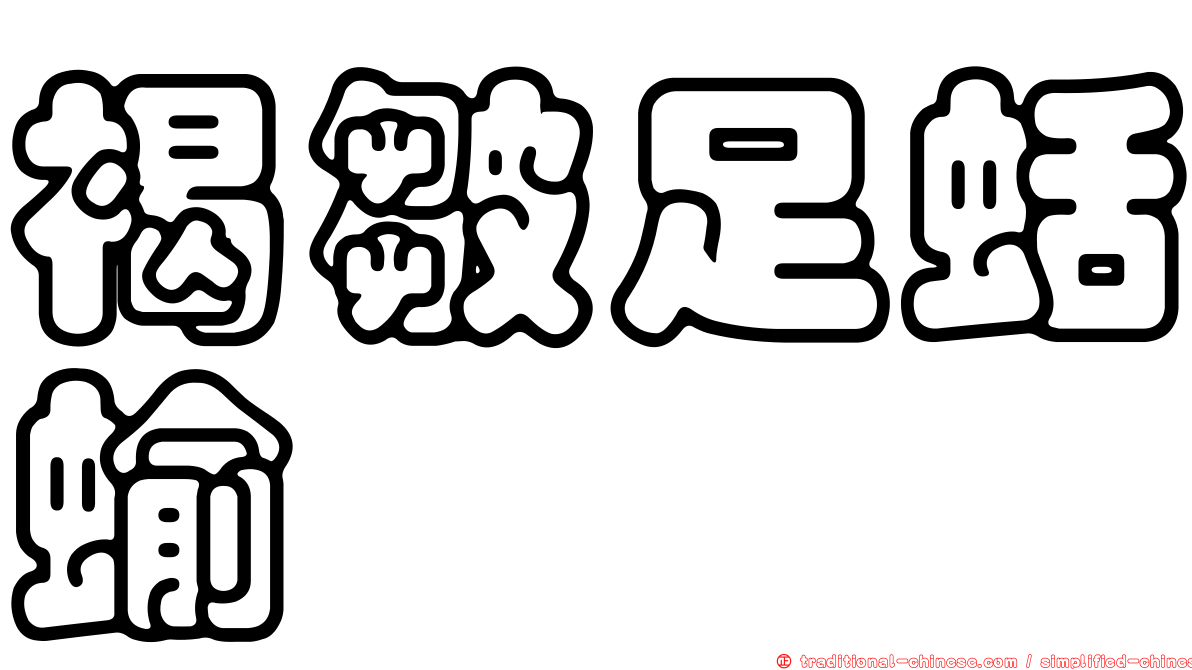 褐皺足蛞蝓