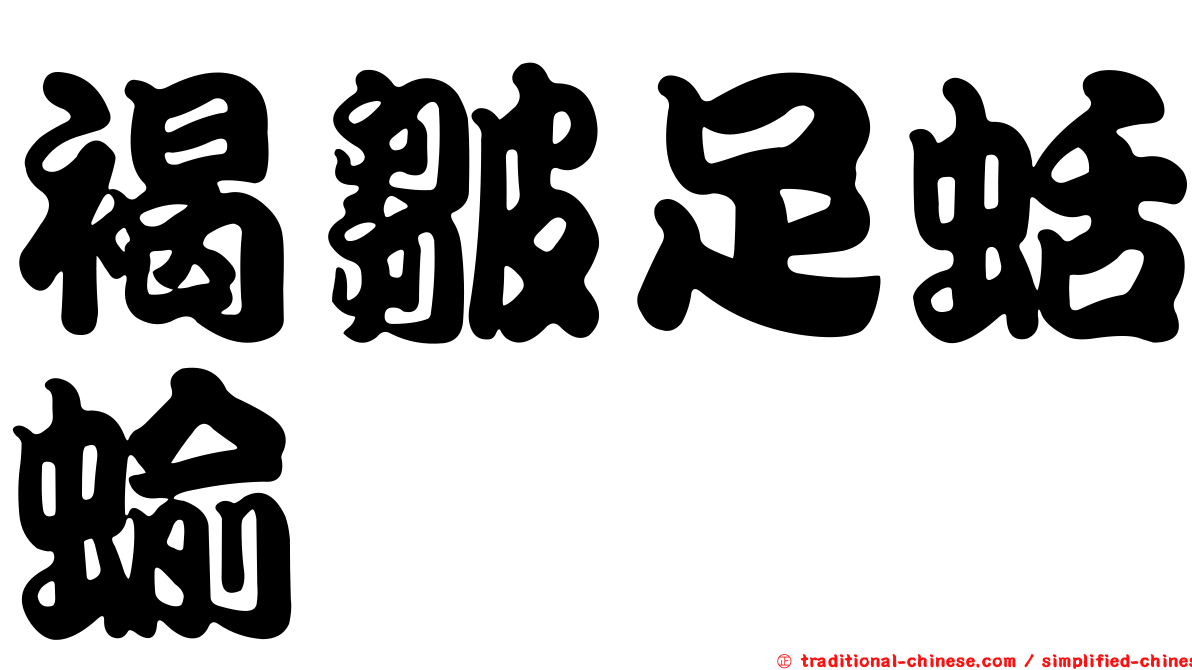褐皺足蛞蝓