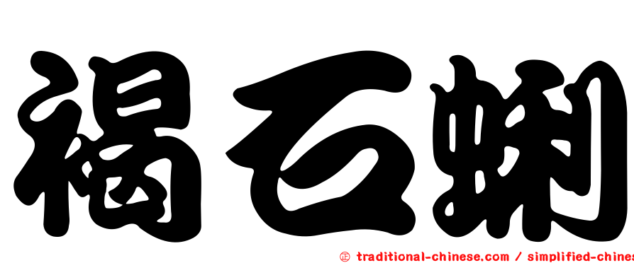 褐石蜊