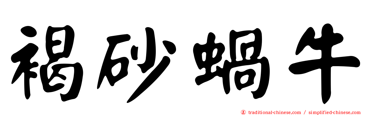 褐砂蝸牛