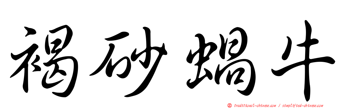 褐砂蝸牛