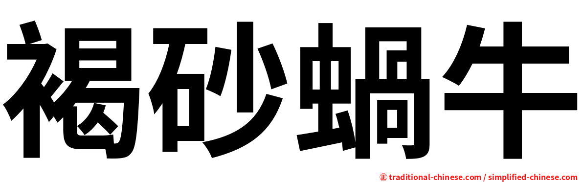褐砂蝸牛