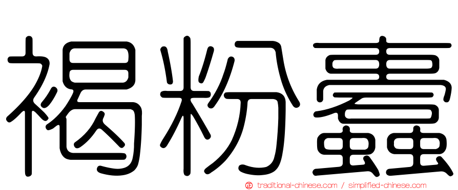 褐粉蠹