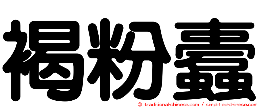 褐粉蠹
