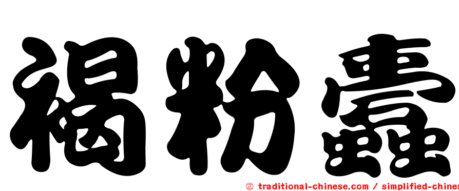 褐粉蠹