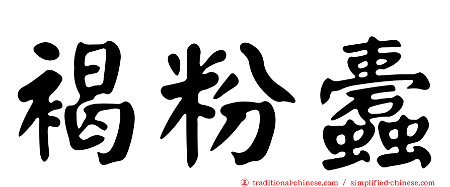 褐粉蠹