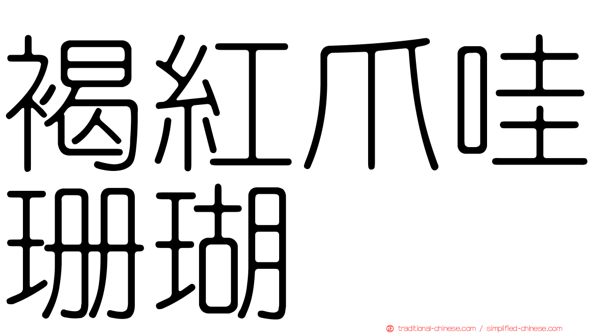 褐紅爪哇珊瑚