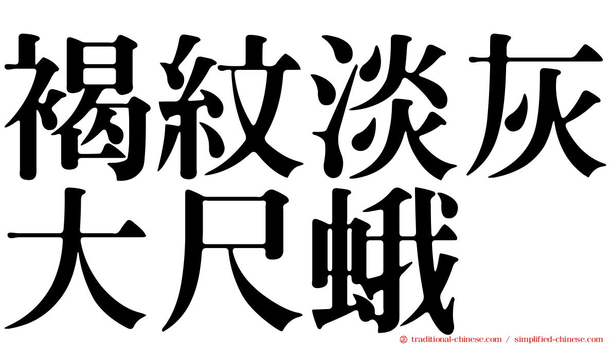 褐紋淡灰大尺蛾