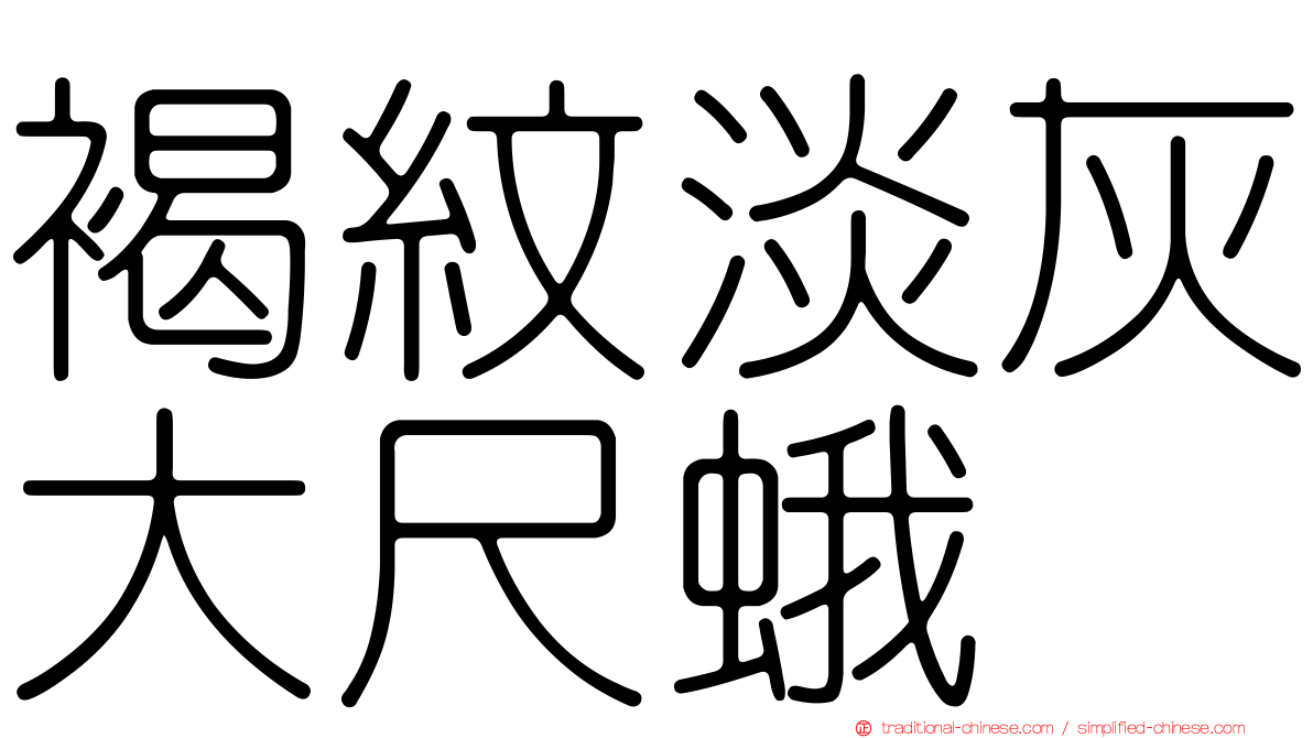 褐紋淡灰大尺蛾