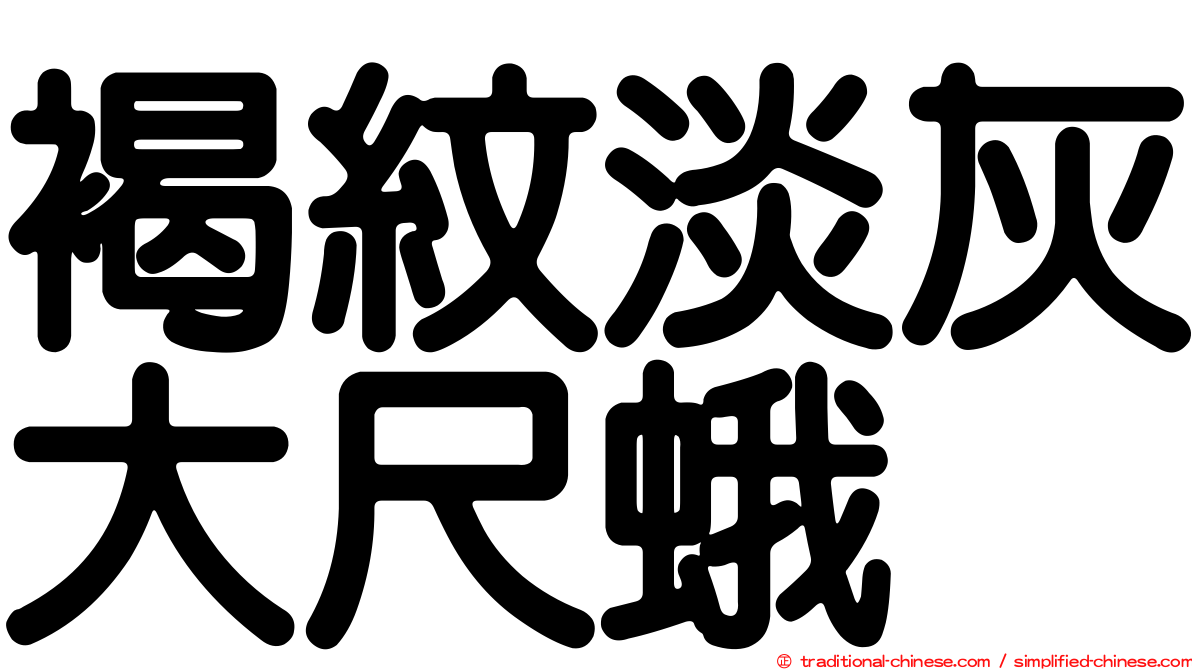 褐紋淡灰大尺蛾