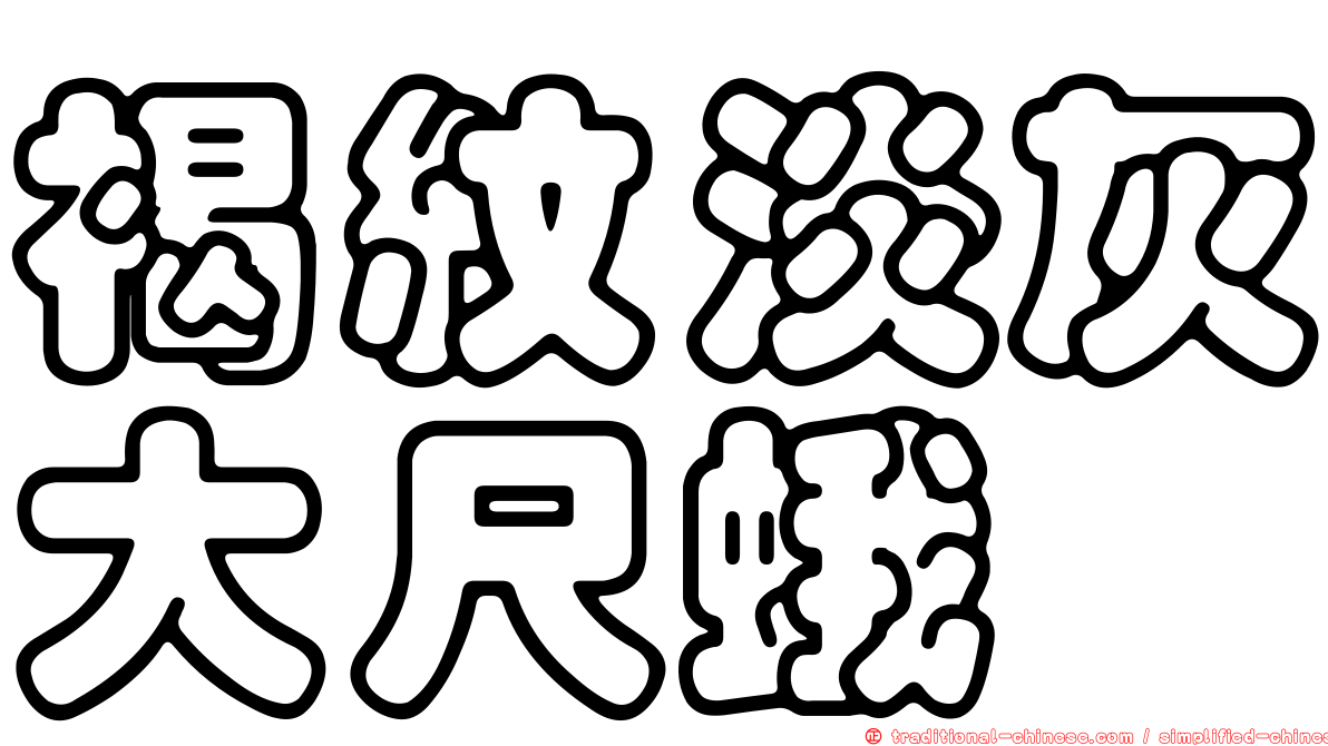 褐紋淡灰大尺蛾