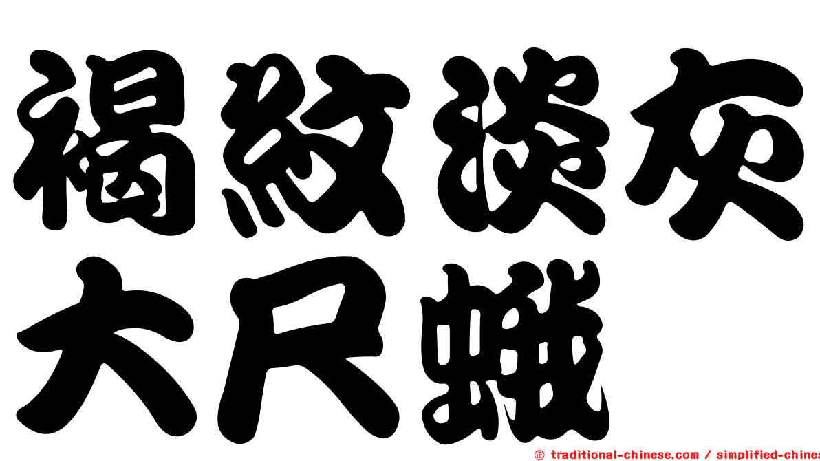 褐紋淡灰大尺蛾