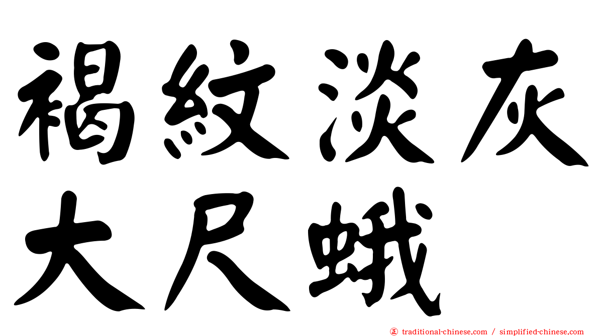 褐紋淡灰大尺蛾