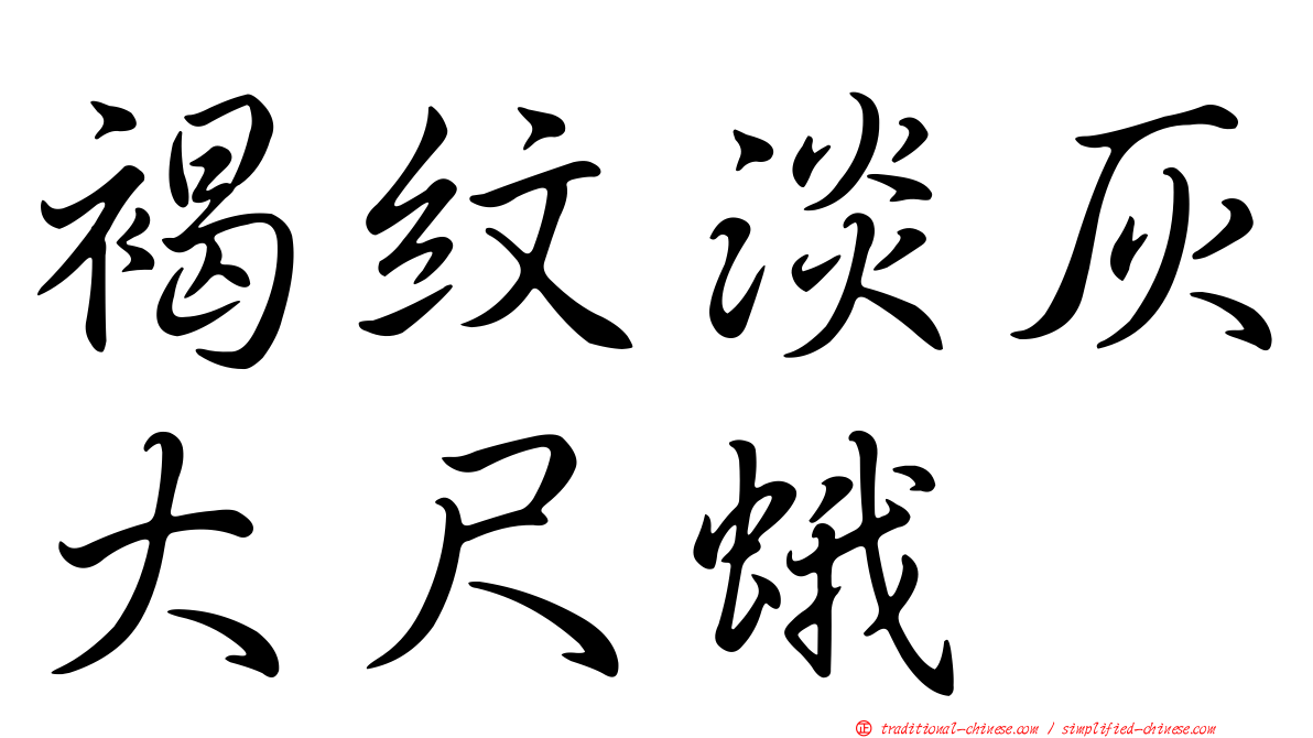 褐紋淡灰大尺蛾