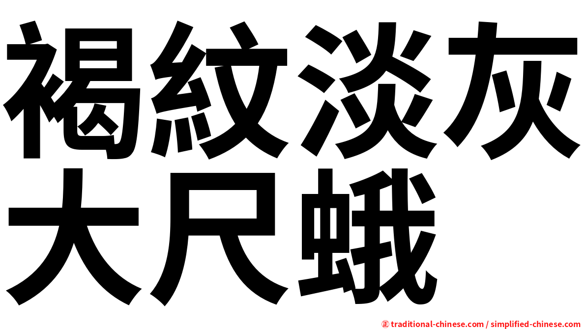 褐紋淡灰大尺蛾