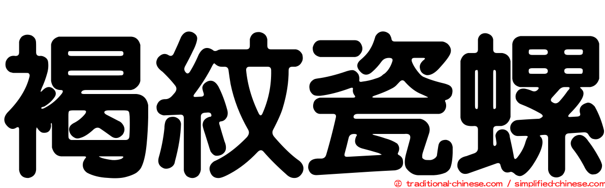 褐紋瓷螺