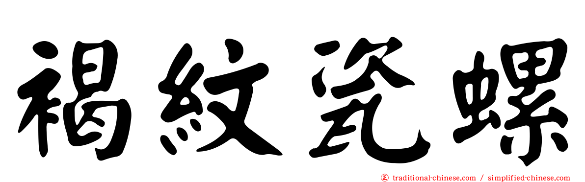褐紋瓷螺