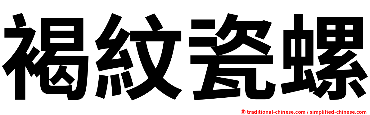 褐紋瓷螺