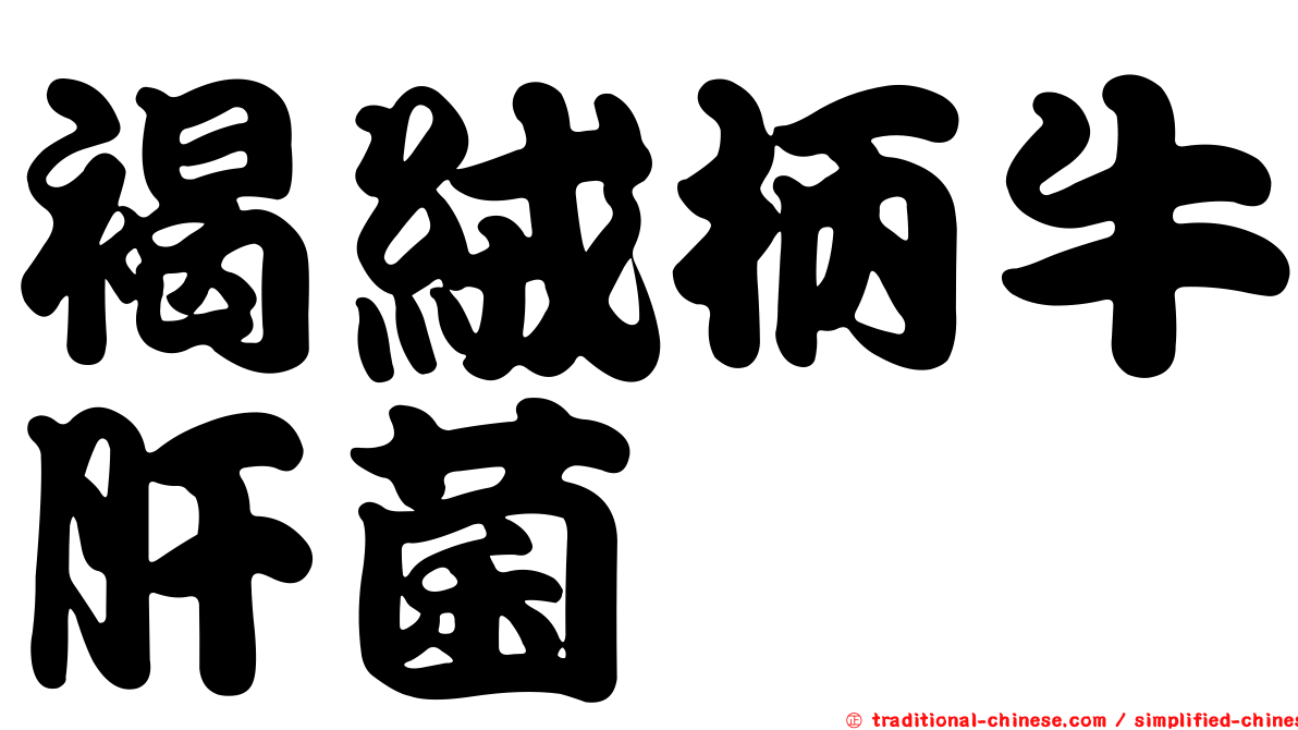 褐絨柄牛肝菌