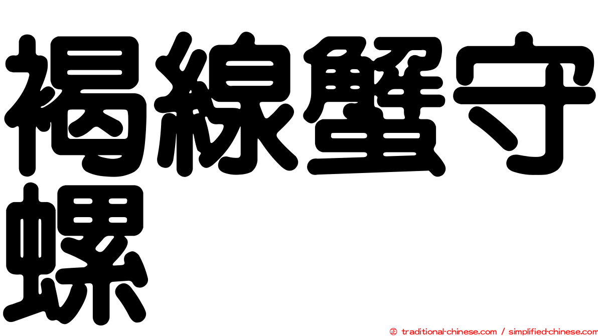 褐線蟹守螺