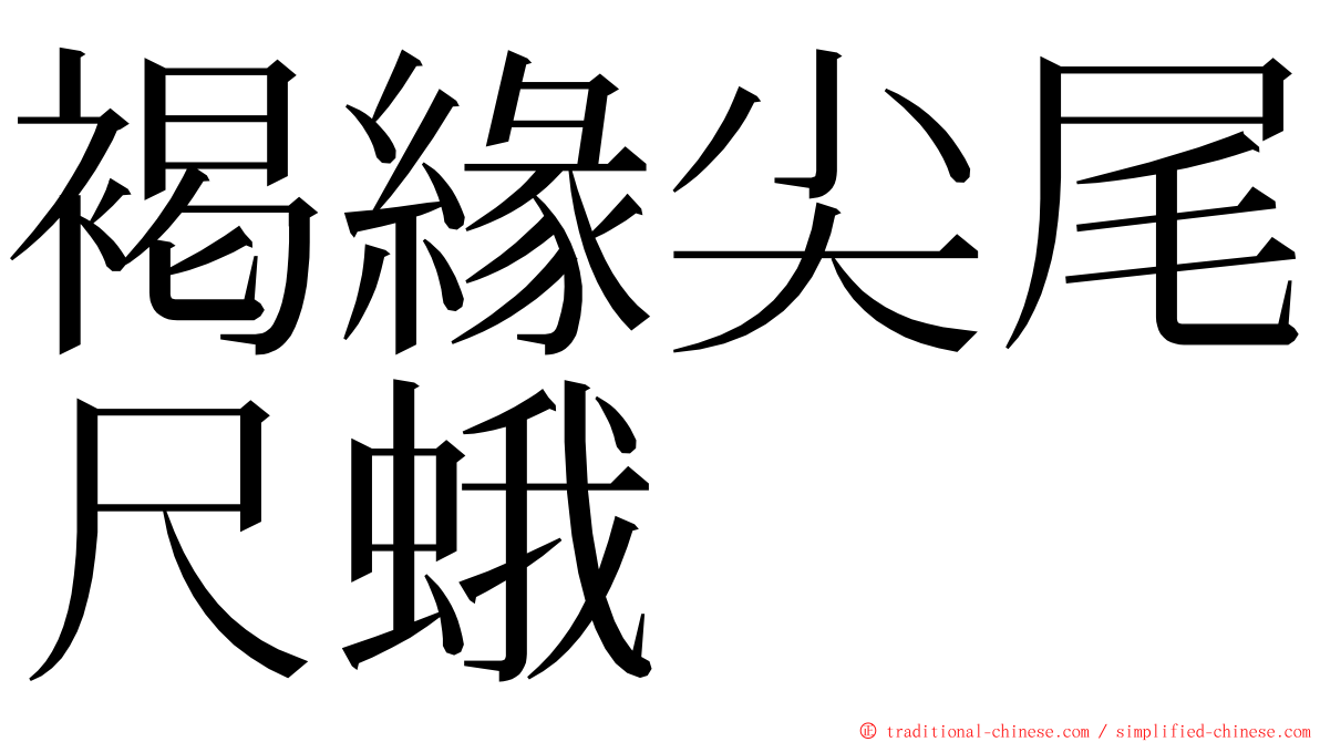 褐緣尖尾尺蛾 ming font