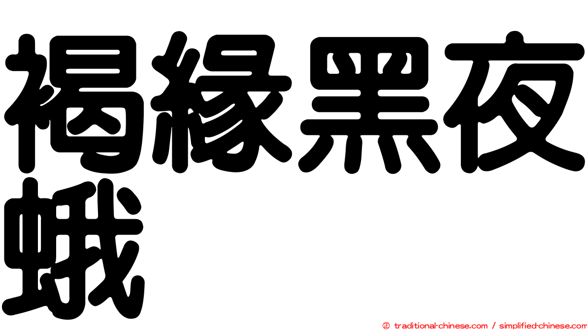 褐緣黑夜蛾