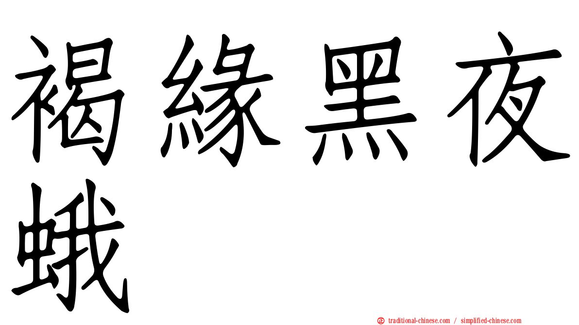 褐緣黑夜蛾