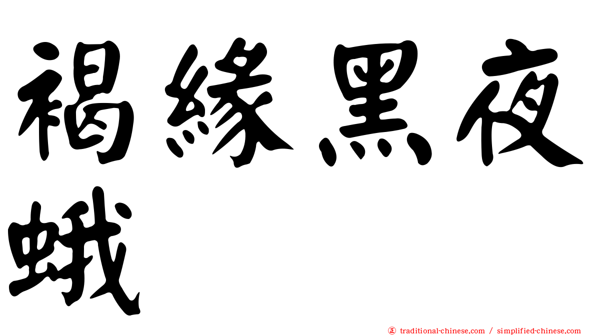褐緣黑夜蛾