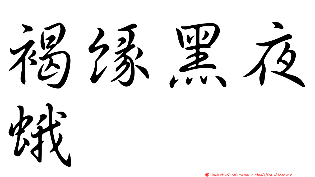 褐緣黑夜蛾