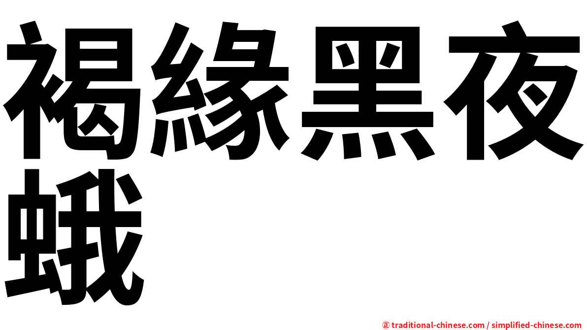 褐緣黑夜蛾