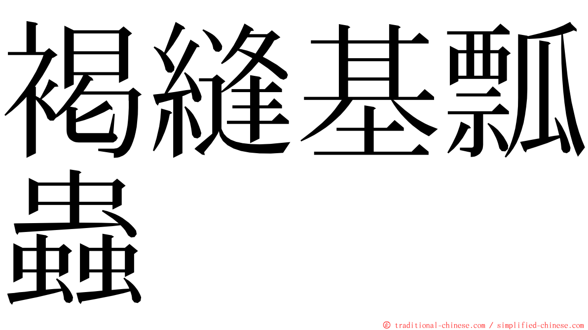褐縫基瓢蟲 ming font