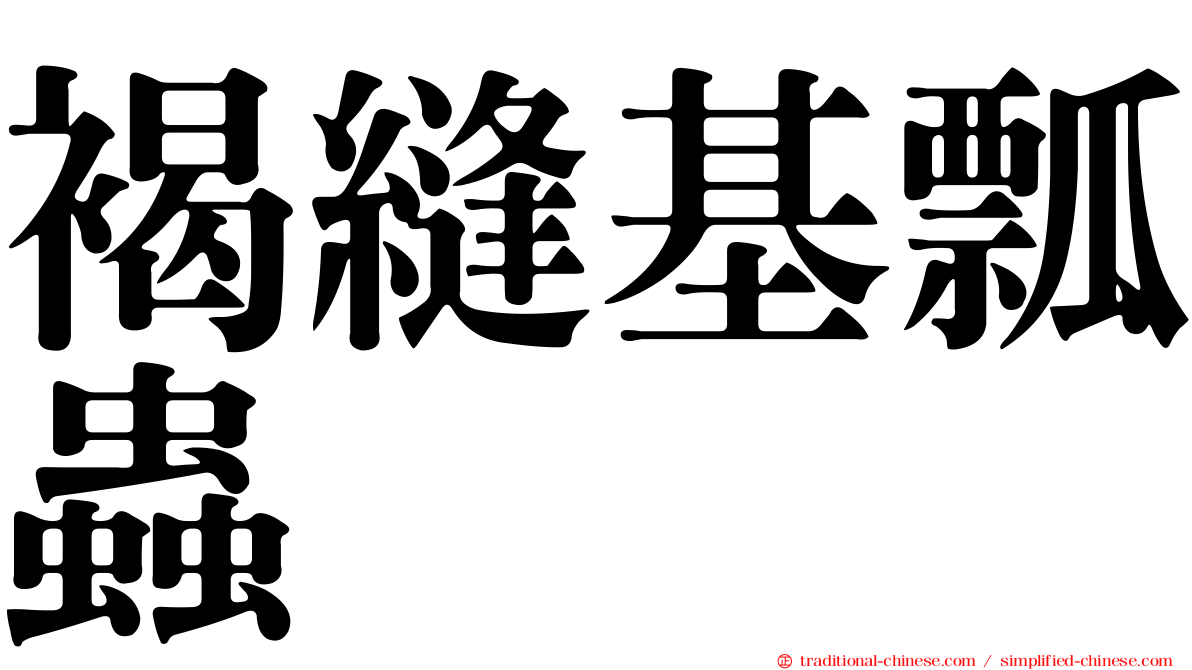 褐縫基瓢蟲