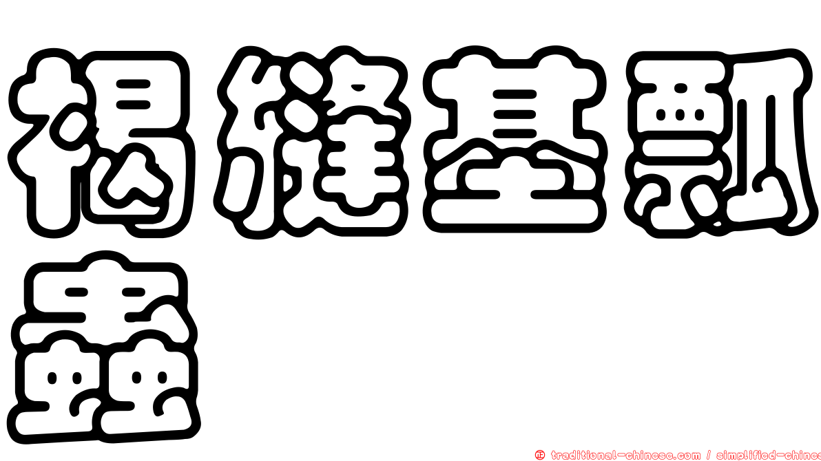 褐縫基瓢蟲