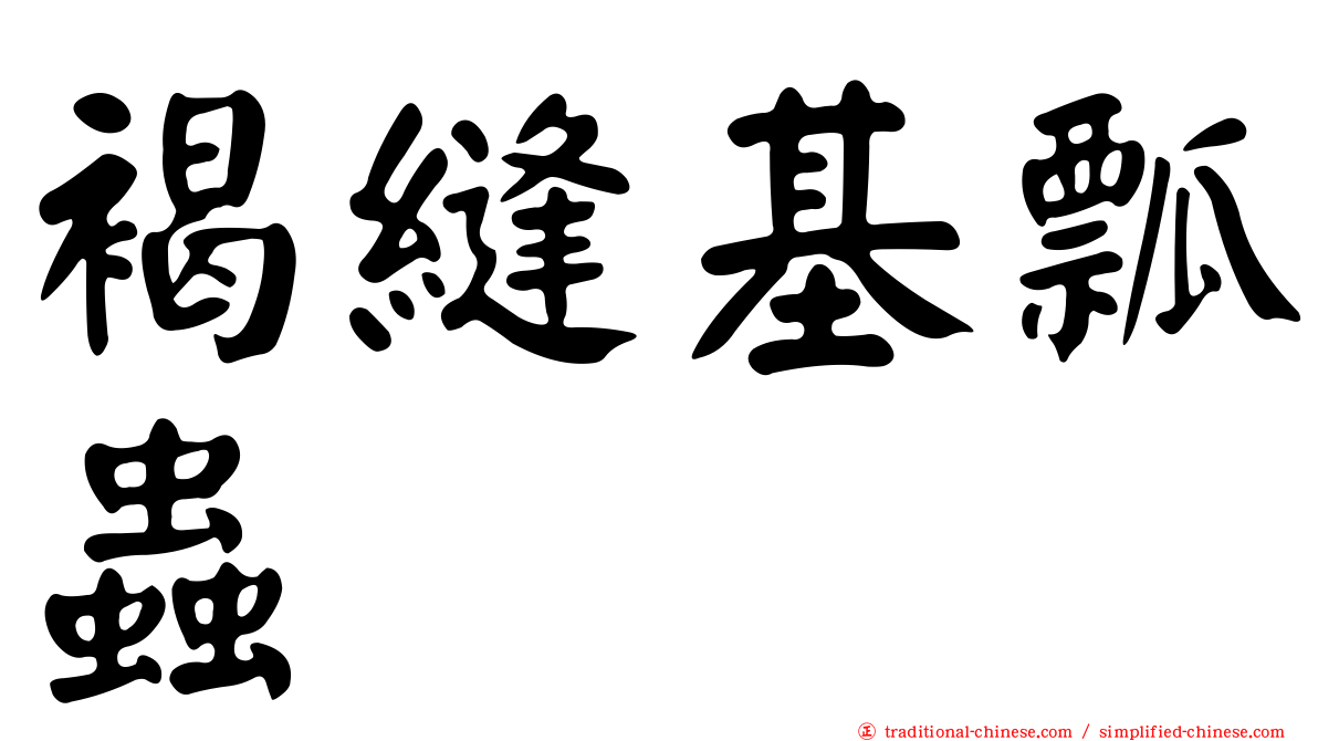 褐縫基瓢蟲