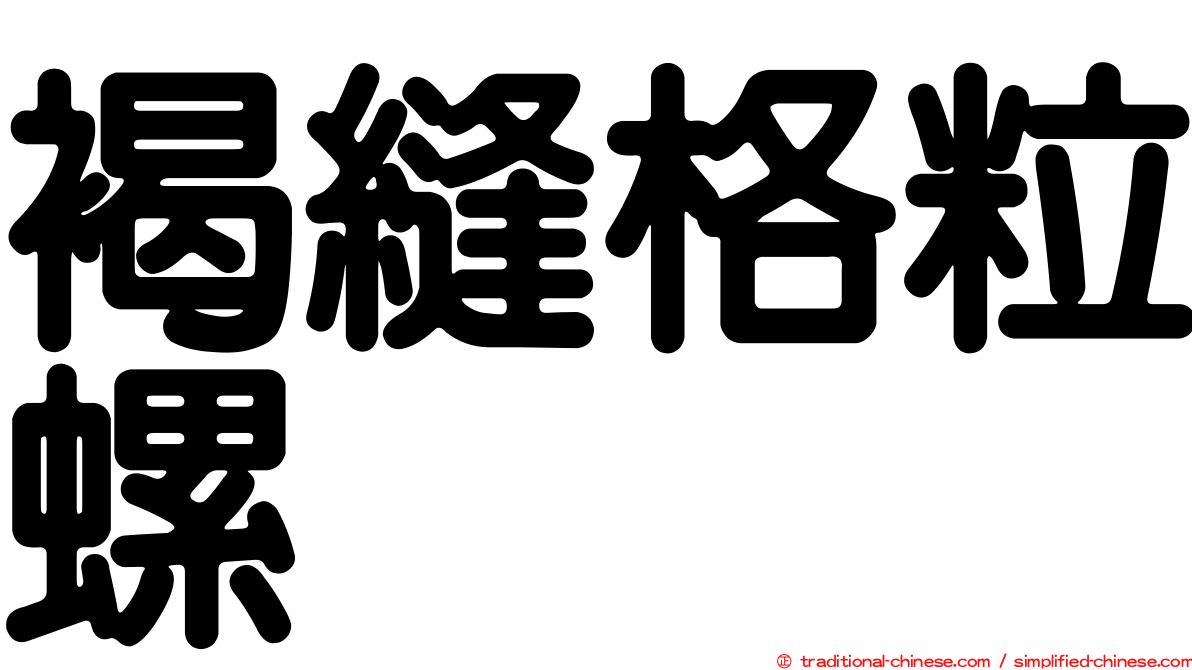褐縫格粒螺