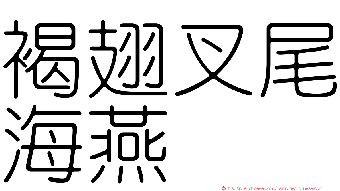 褐翅叉尾海燕