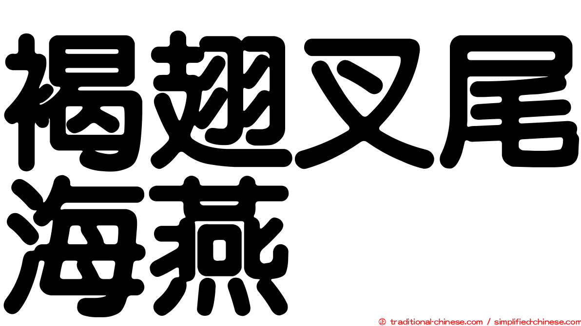 褐翅叉尾海燕