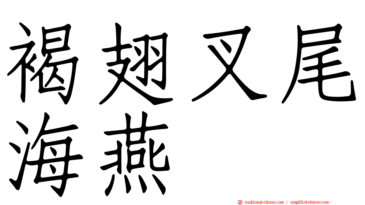 褐翅叉尾海燕