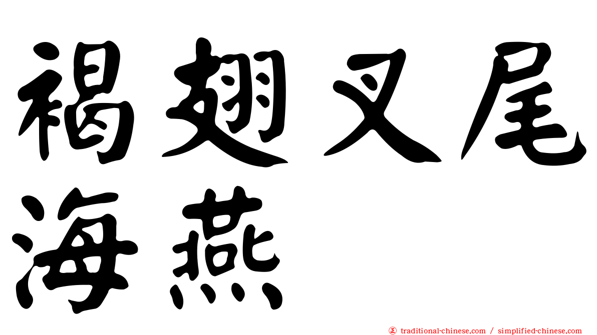 褐翅叉尾海燕