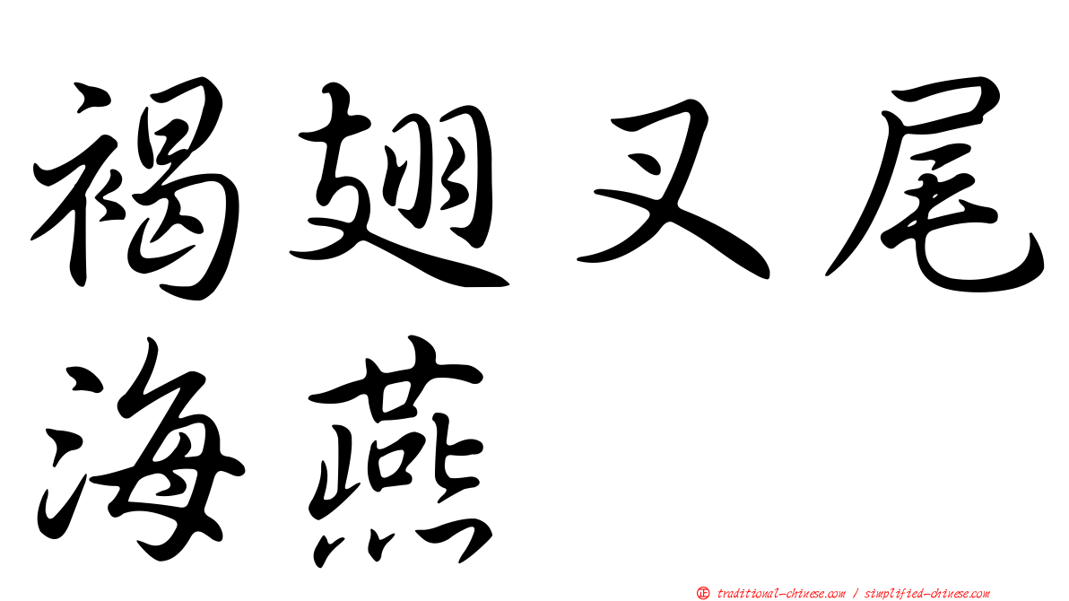 褐翅叉尾海燕
