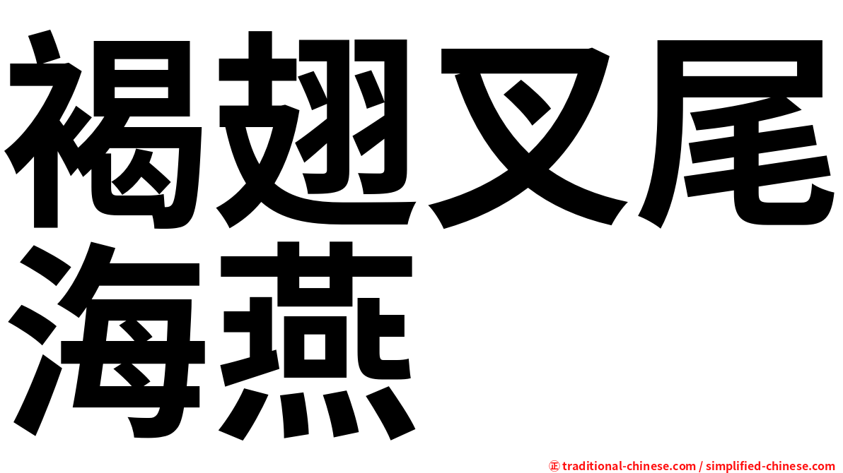 褐翅叉尾海燕