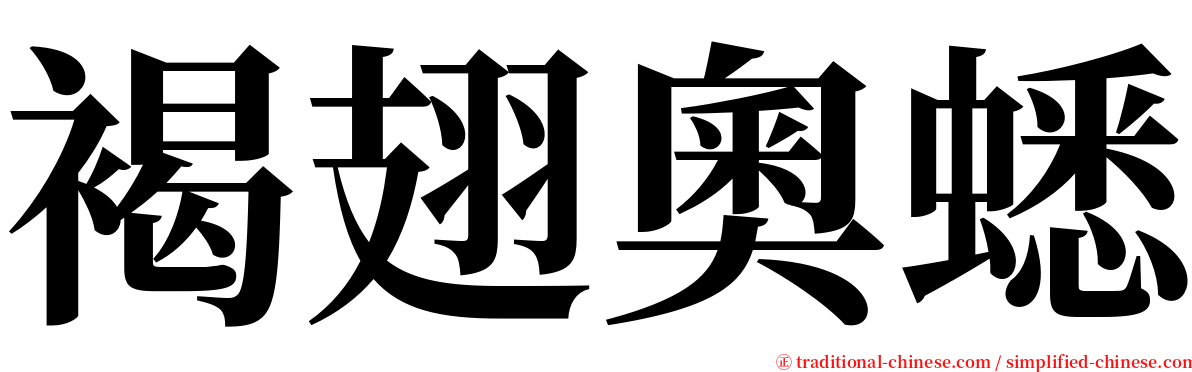 褐翅奧蟋 serif font